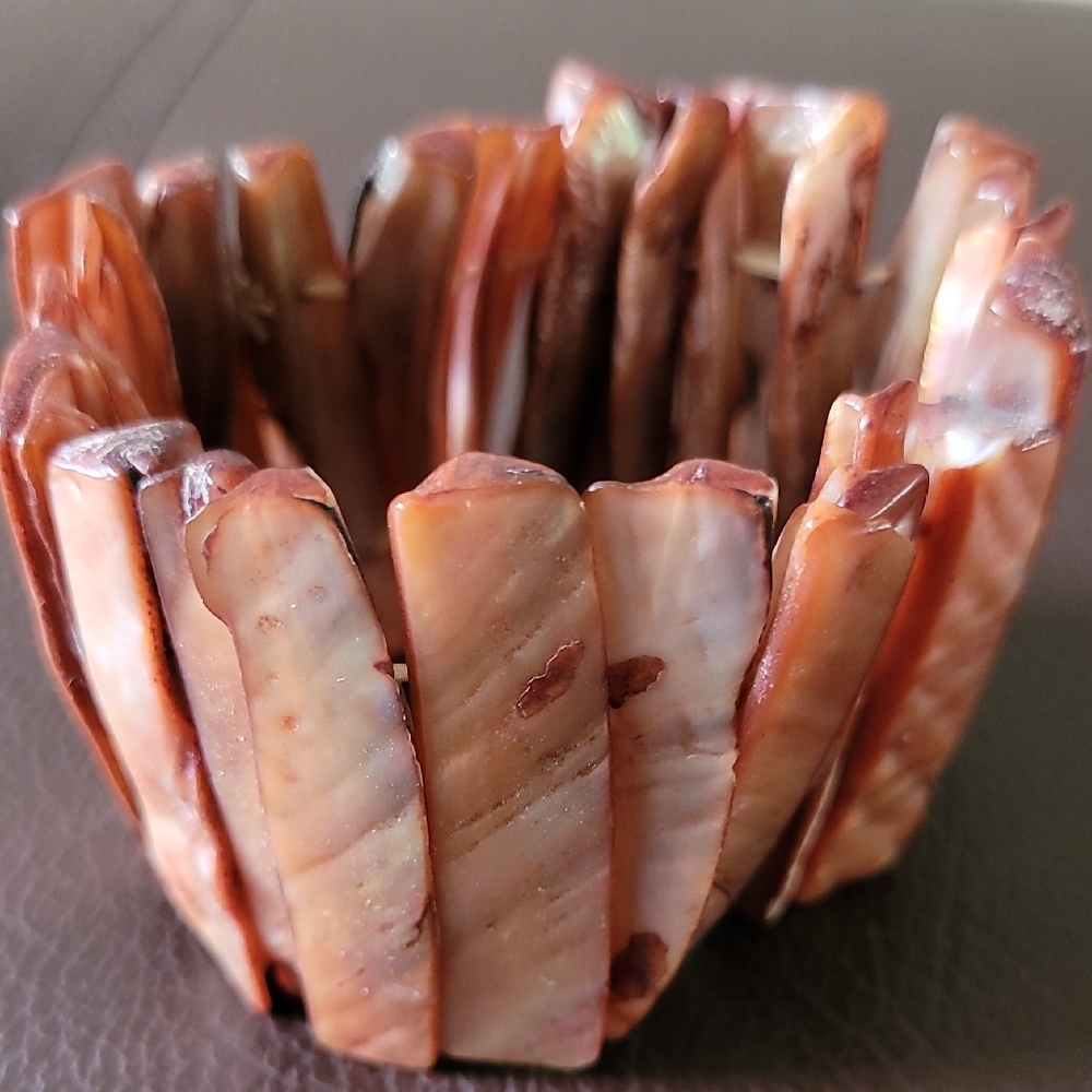 Elegant Brown Shell Bracelet